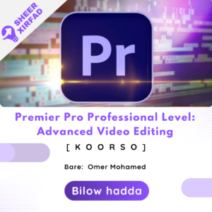 Premier pro professional level: Advanced Video Editing